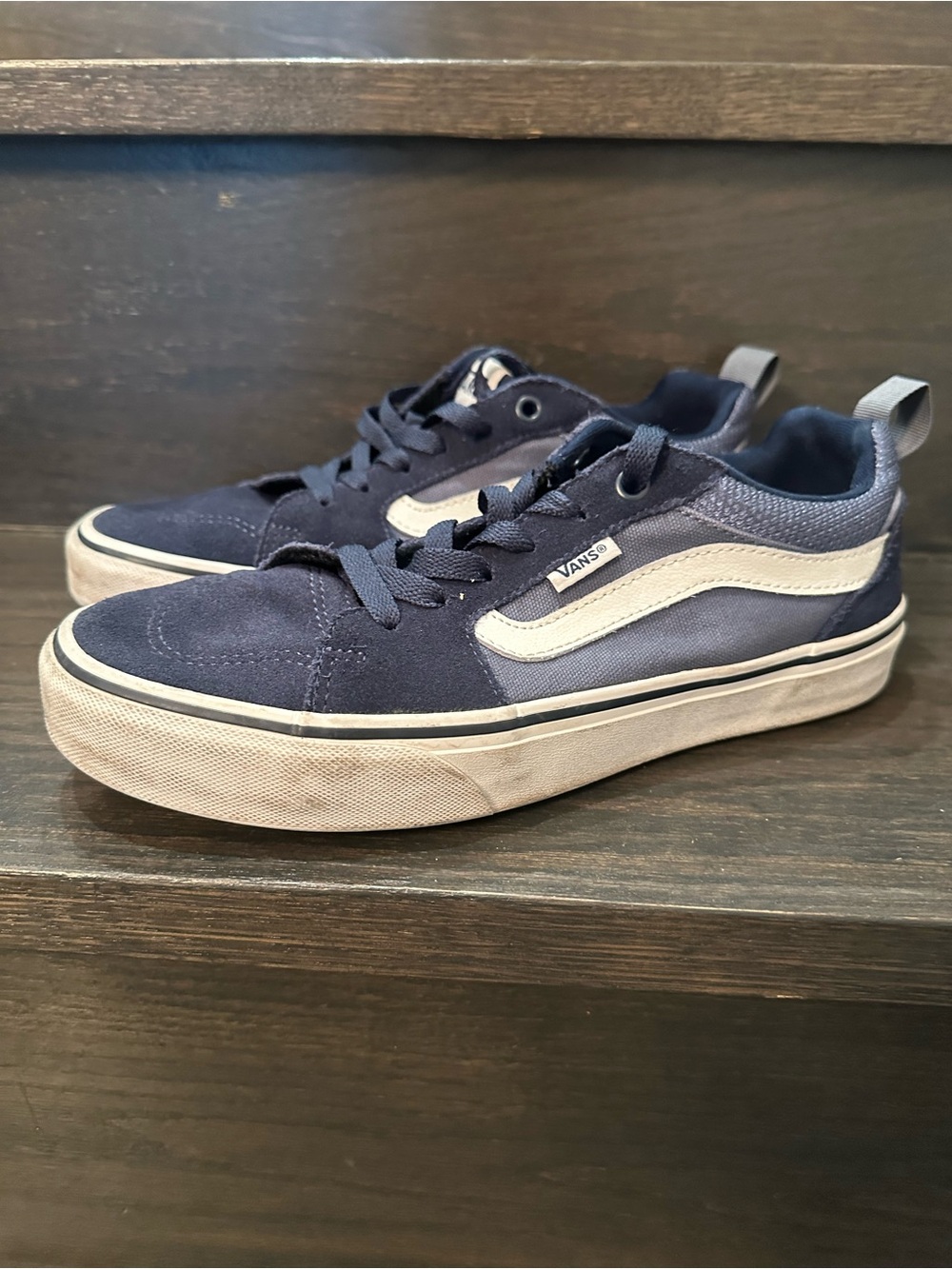 Vans Navy and White Low-Top Skate Shoes